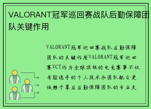 VALORANT冠军巡回赛战队后勤保障团队关键作用